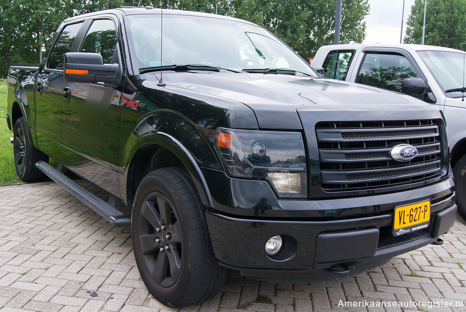 Ford F-Series uit 2013